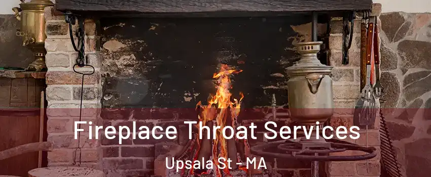 Fireplace Throat Services Upsala St - MA