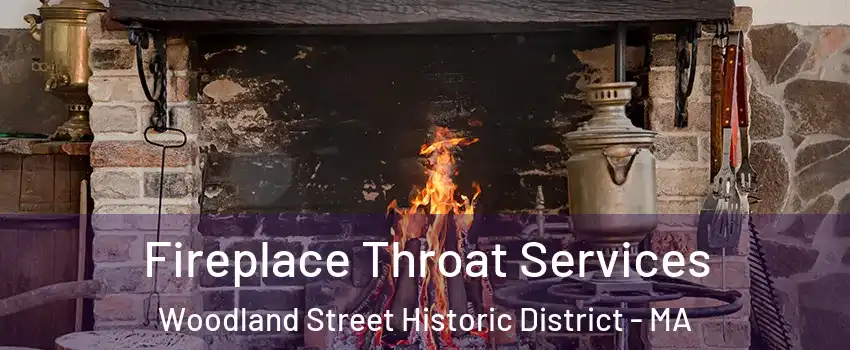 Fireplace Throat Services Woodland Street Historic District - MA