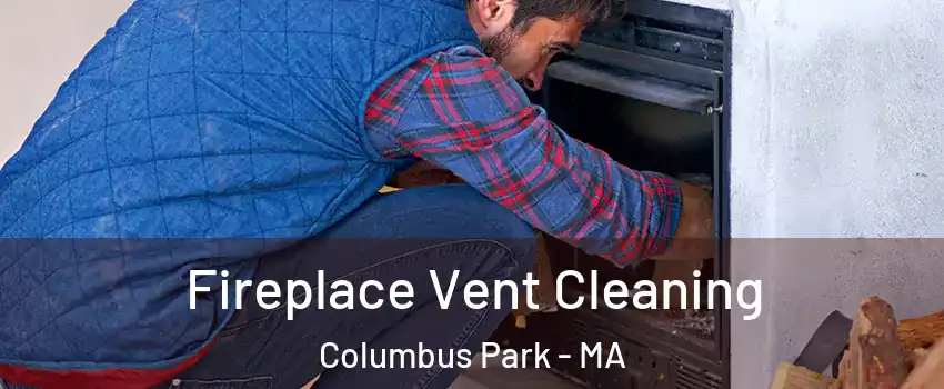 Fireplace Vent Cleaning Columbus Park - MA