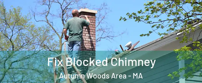 Fix Blocked Chimney Autumn Woods Area - MA