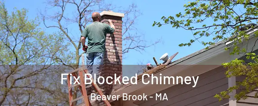 Fix Blocked Chimney Beaver Brook - MA