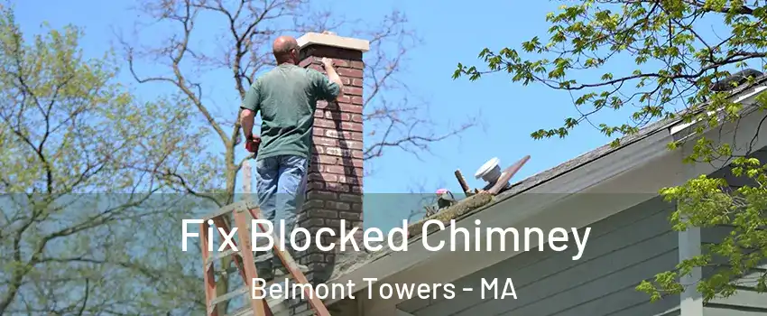 Fix Blocked Chimney Belmont Towers - MA