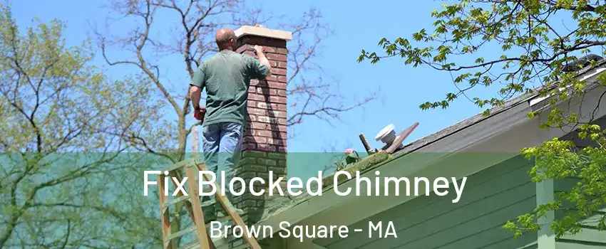 Fix Blocked Chimney Brown Square - MA