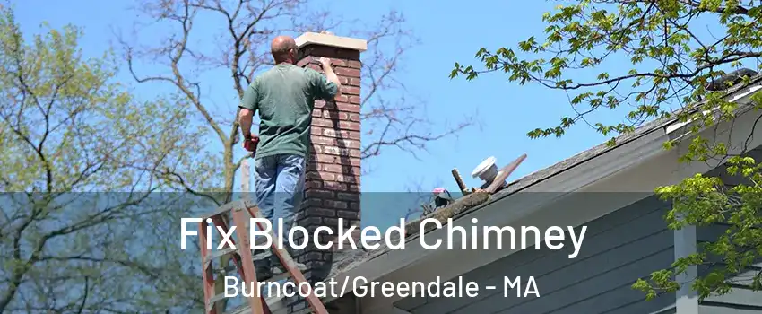 Fix Blocked Chimney Burncoat/Greendale - MA