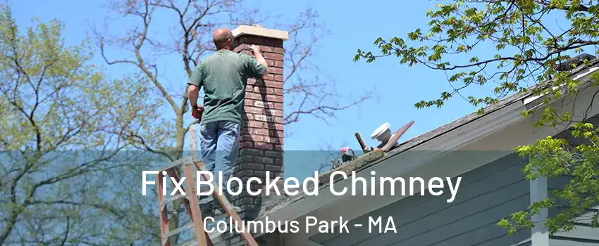 Fix Blocked Chimney Columbus Park - MA