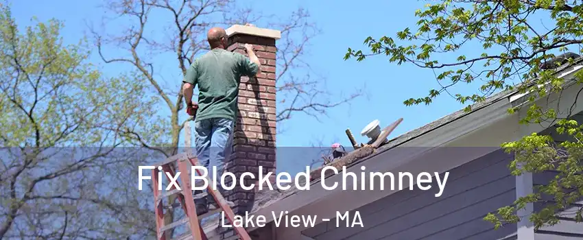 Fix Blocked Chimney Lake View - MA