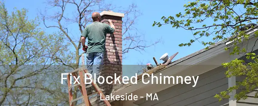 Fix Blocked Chimney Lakeside - MA