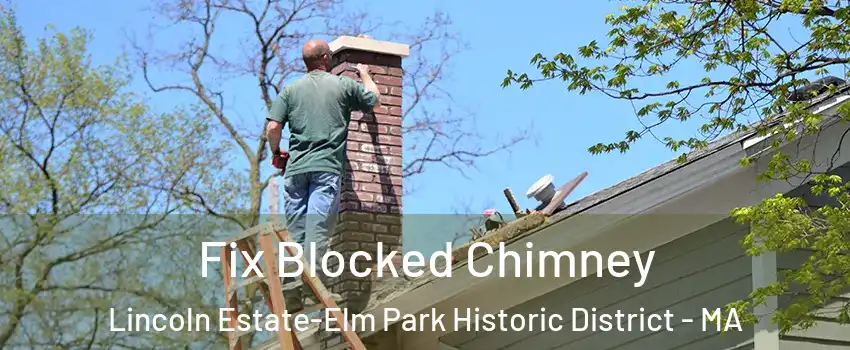 Fix Blocked Chimney Lincoln Estate-Elm Park Historic District - MA