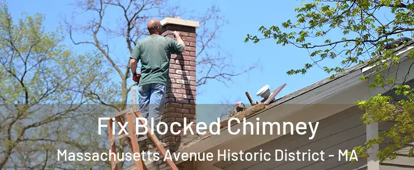 Fix Blocked Chimney Massachusetts Avenue Historic District - MA