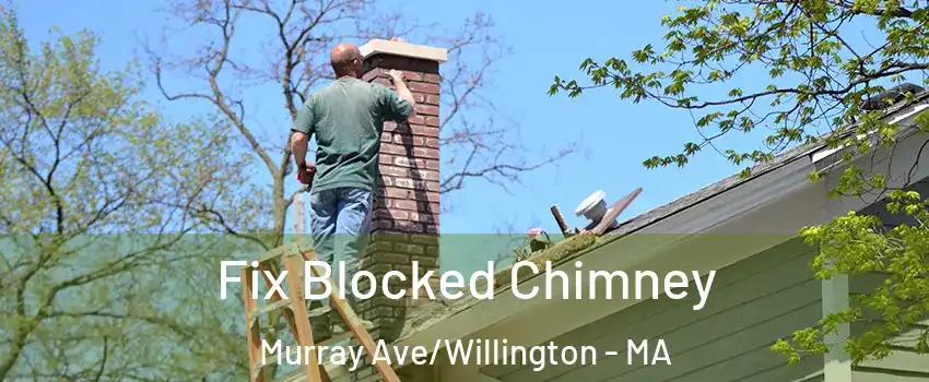 Fix Blocked Chimney Murray Ave/Willington - MA