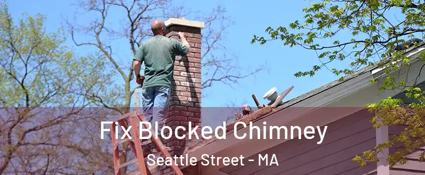 Fix Blocked Chimney Seattle Street - MA