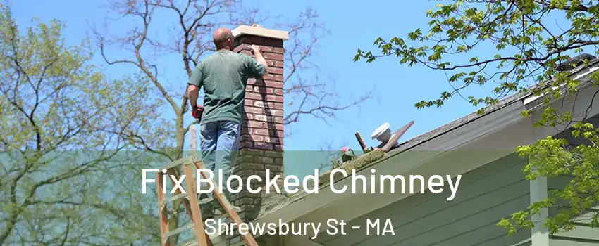 Fix Blocked Chimney Shrewsbury St - MA