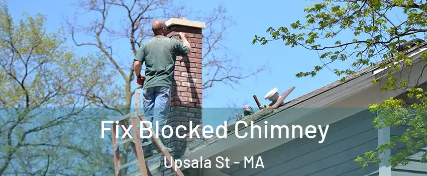 Fix Blocked Chimney Upsala St - MA