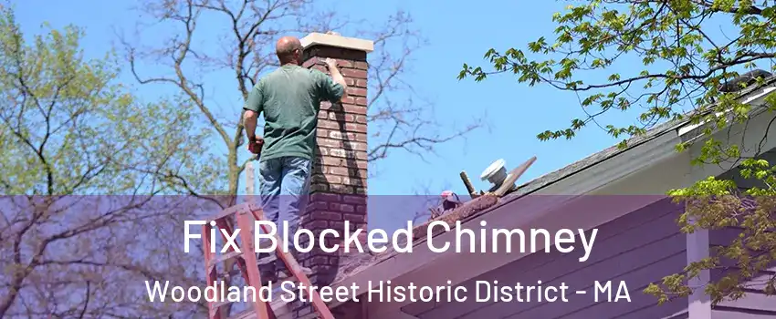 Fix Blocked Chimney Woodland Street Historic District - MA