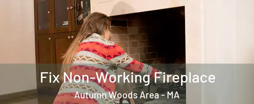 Fix Non-Working Fireplace Autumn Woods Area - MA