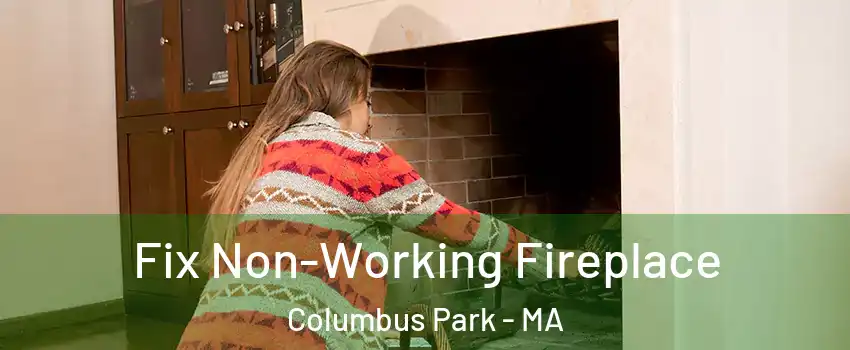 Fix Non-Working Fireplace Columbus Park - MA