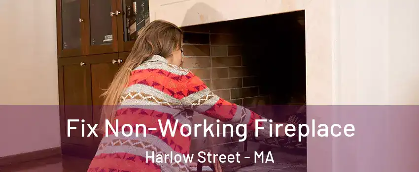 Fix Non-Working Fireplace Harlow Street - MA