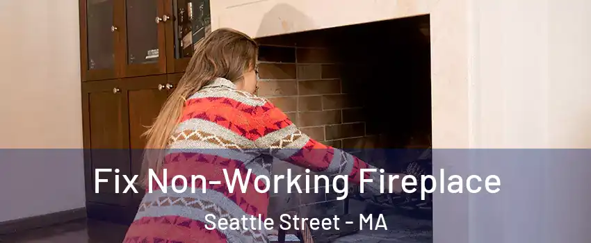 Fix Non-Working Fireplace Seattle Street - MA