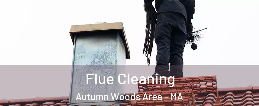 Flue Cleaning Autumn Woods Area - MA