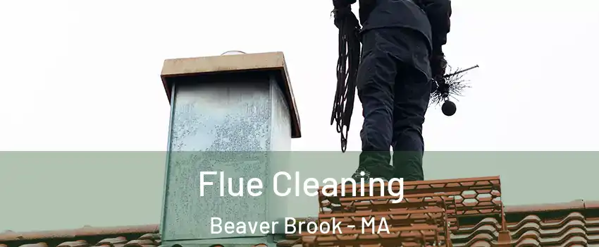 Flue Cleaning Beaver Brook - MA