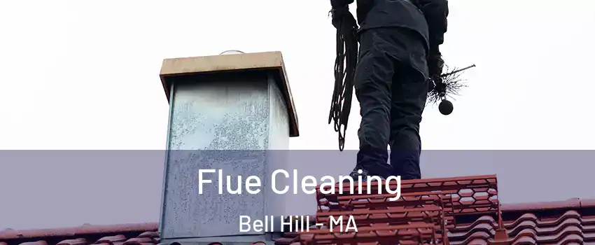 Flue Cleaning Bell Hill - MA