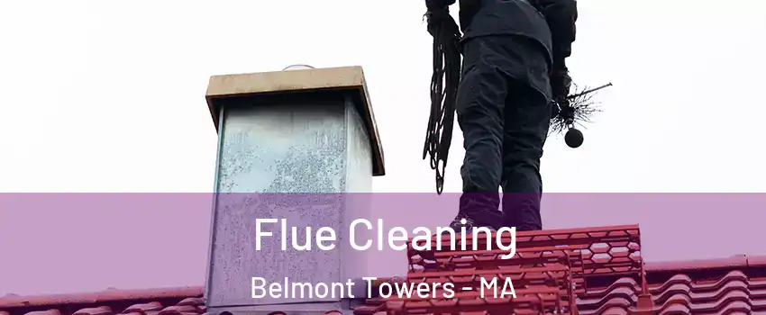 Flue Cleaning Belmont Towers - MA