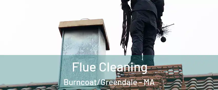 Flue Cleaning Burncoat/Greendale - MA