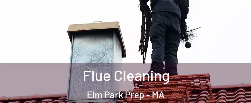 Flue Cleaning Elm Park Prep - MA