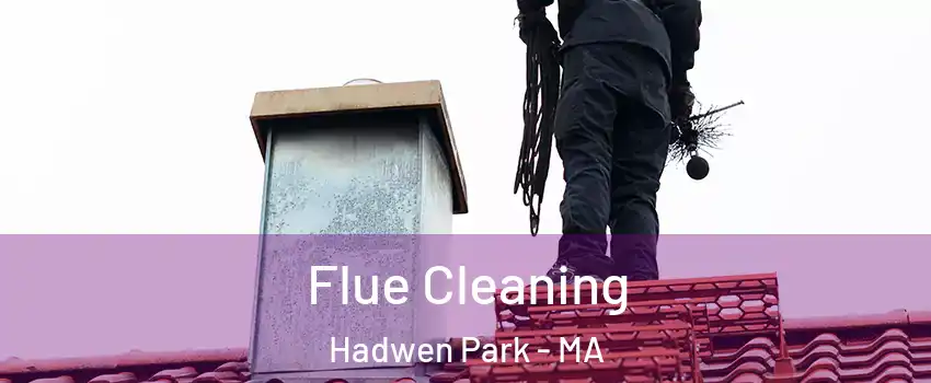 Flue Cleaning Hadwen Park - MA