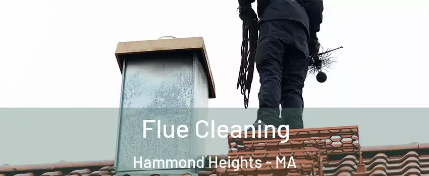 Flue Cleaning Hammond Heights - MA