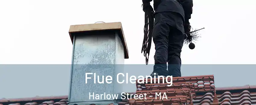 Flue Cleaning Harlow Street - MA