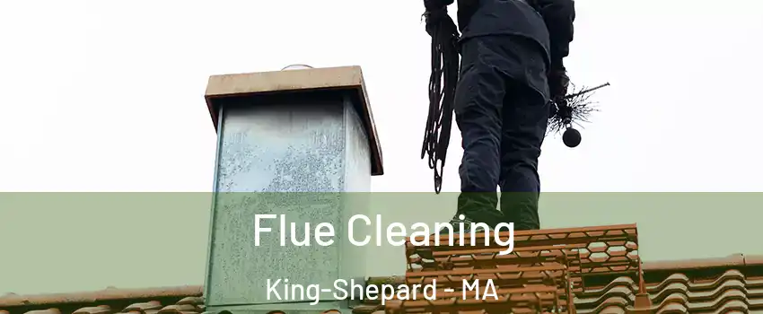 Flue Cleaning King-Shepard - MA