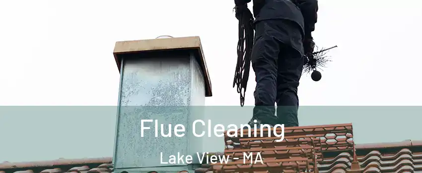 Flue Cleaning Lake View - MA