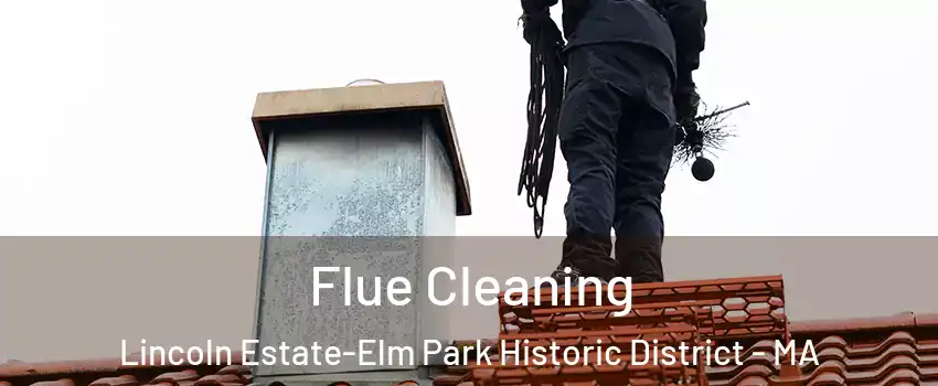 Flue Cleaning Lincoln Estate-Elm Park Historic District - MA