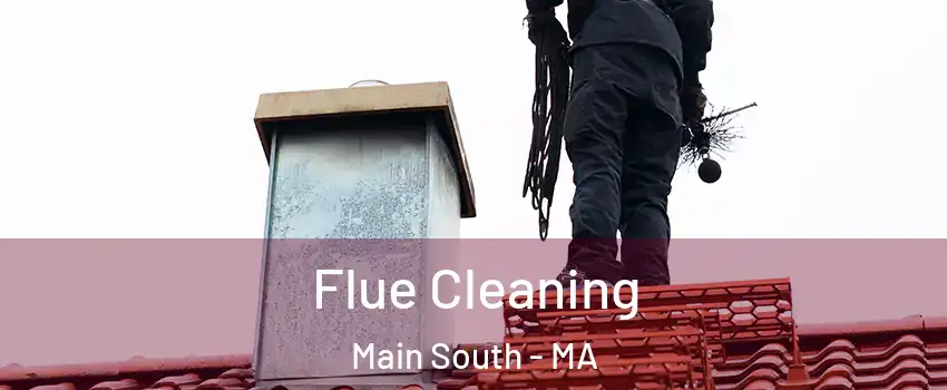 Flue Cleaning Main South - MA