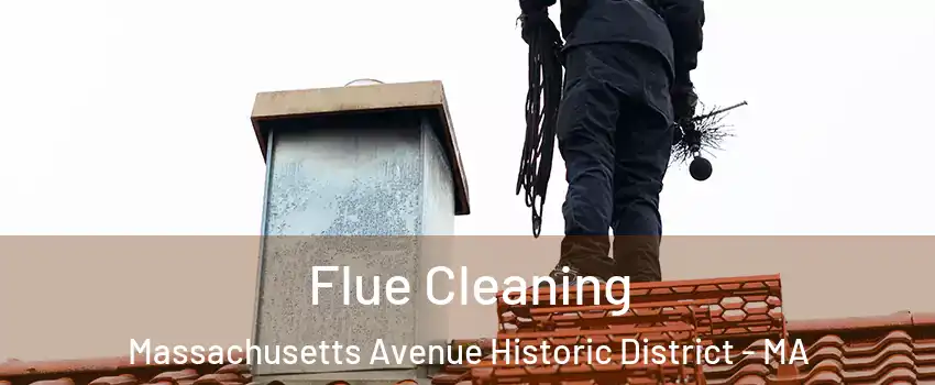 Flue Cleaning Massachusetts Avenue Historic District - MA