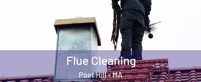 Flue Cleaning Poet Hill - MA