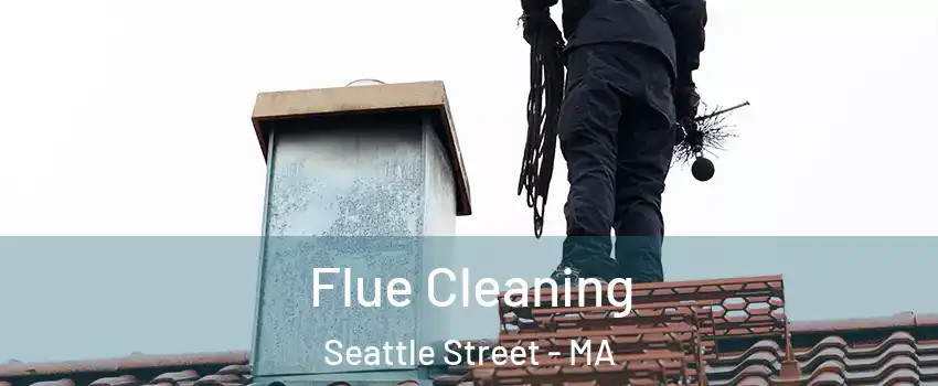 Flue Cleaning Seattle Street - MA