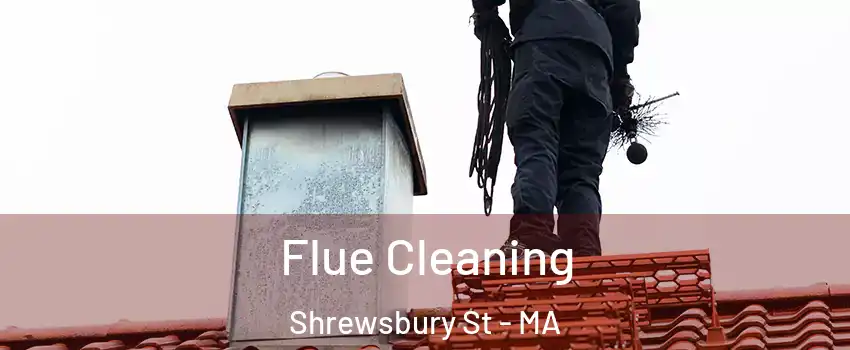 Flue Cleaning Shrewsbury St - MA