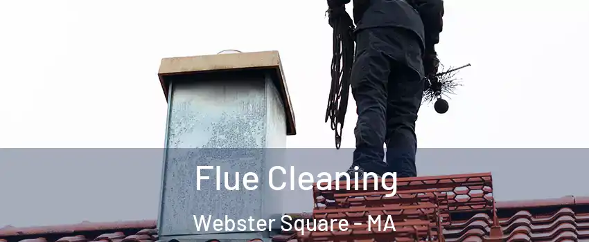 Flue Cleaning Webster Square - MA