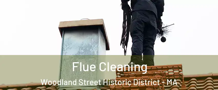 Flue Cleaning Woodland Street Historic District - MA