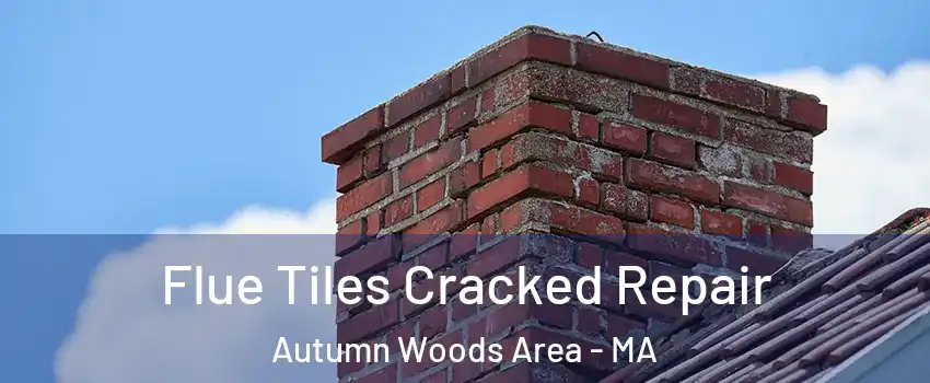 Flue Tiles Cracked Repair Autumn Woods Area - MA