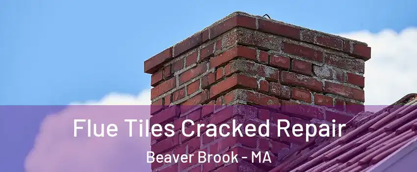 Flue Tiles Cracked Repair Beaver Brook - MA