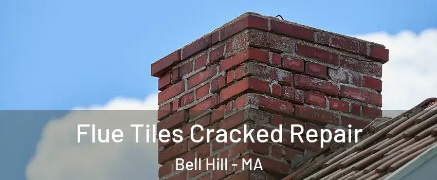 Flue Tiles Cracked Repair Bell Hill - MA