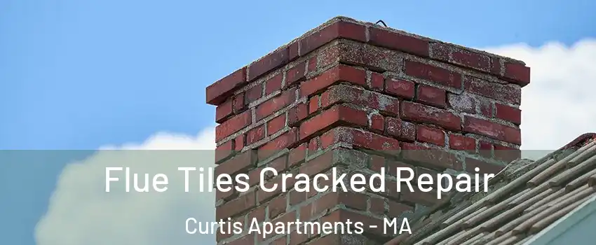 Flue Tiles Cracked Repair Curtis Apartments - MA