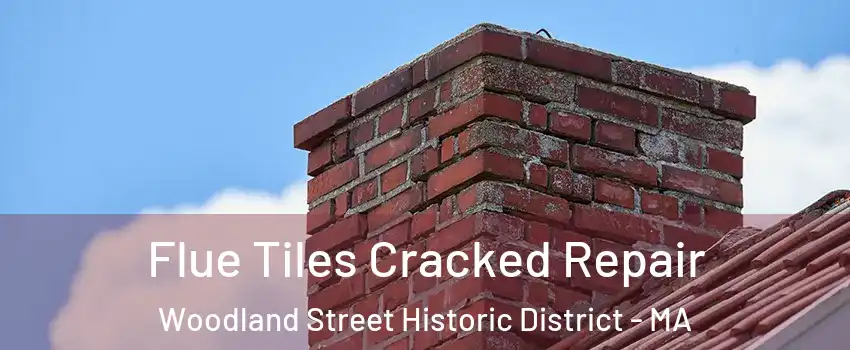 Flue Tiles Cracked Repair Woodland Street Historic District - MA