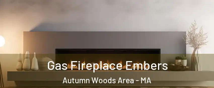 Gas Fireplace Embers Autumn Woods Area - MA