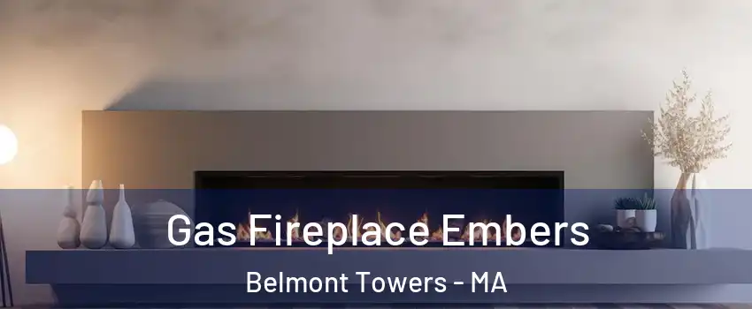 Gas Fireplace Embers Belmont Towers - MA