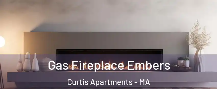 Gas Fireplace Embers Curtis Apartments - MA