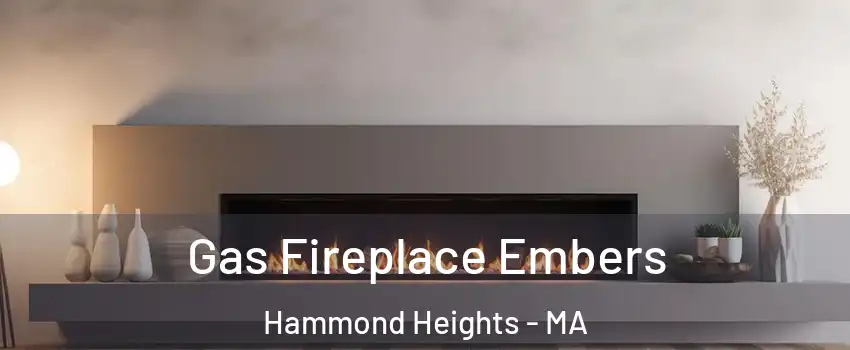 Gas Fireplace Embers Hammond Heights - MA